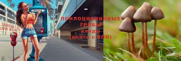 мяу мяу мука Михайловка