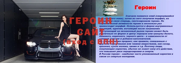 сатива Михайловск