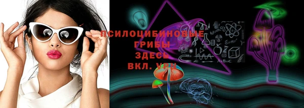 сатива Михайловск