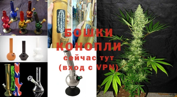 сатива Михайловск