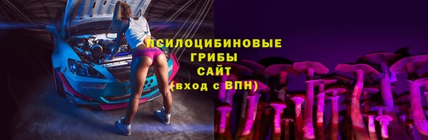 сатива Михайловск