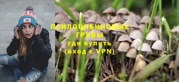 сатива Михайловск