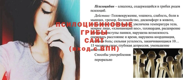 мяу мяу мука Михайловка